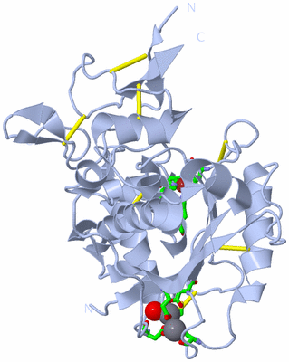 Image Biol. Unit 1 - sites