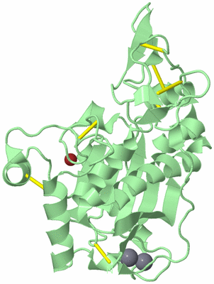 Image Biological Unit 2