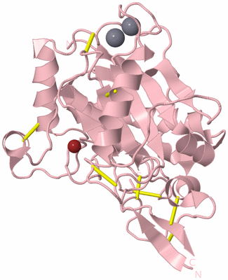 Image Biological Unit 3