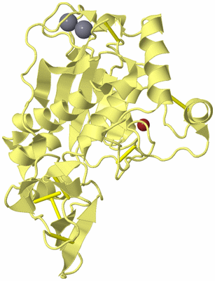 Image Biological Unit 4