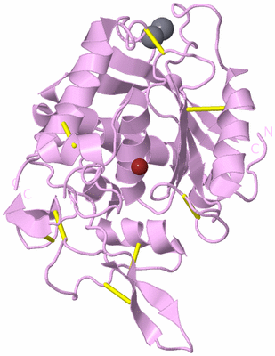 Image Biological Unit 5