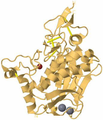 Image Biological Unit 7