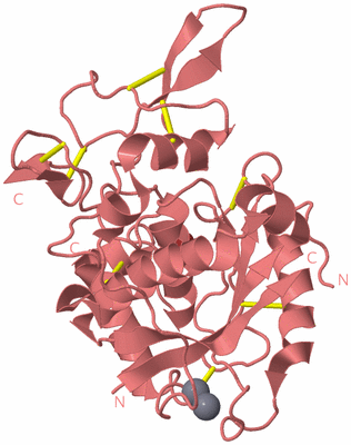 Image Biological Unit 8