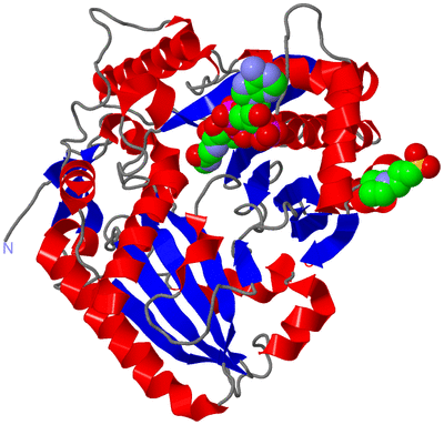 Image Asym./Biol. Unit