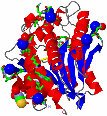 Image Asym./Biol. Unit - sites