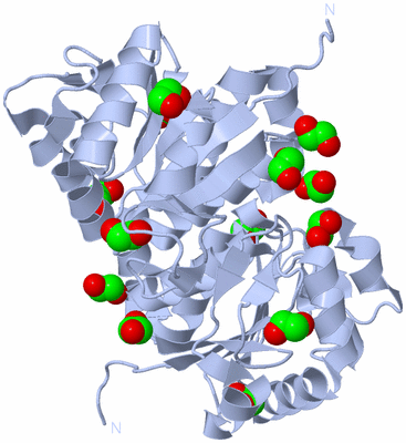 Image Biological Unit 1