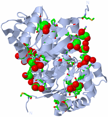 Image Biol. Unit 1 - sites