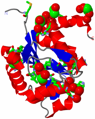 Image Asym. Unit - sites