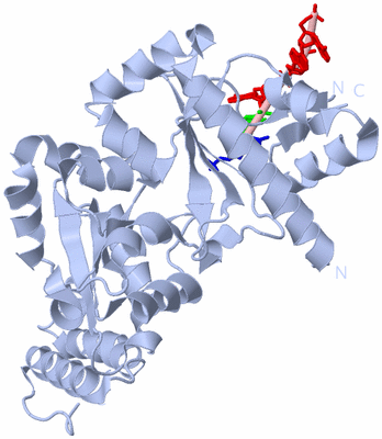 Image Biological Unit 1