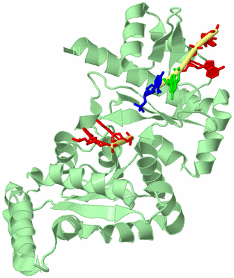 Image Biological Unit 2