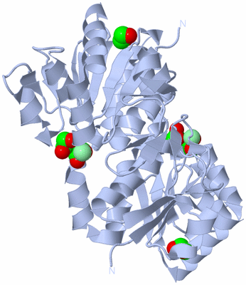 Image Biological Unit 1