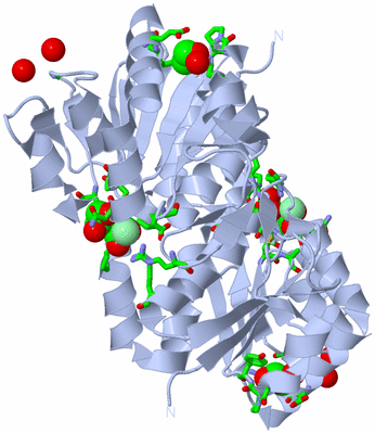 Image Biol. Unit 1 - sites