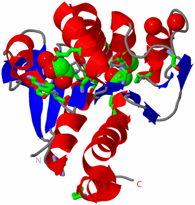 Image Asym. Unit - sites