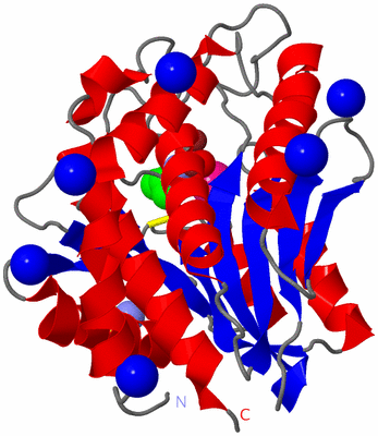 Image Asym./Biol. Unit