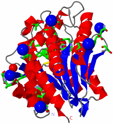 Image Asym./Biol. Unit - sites