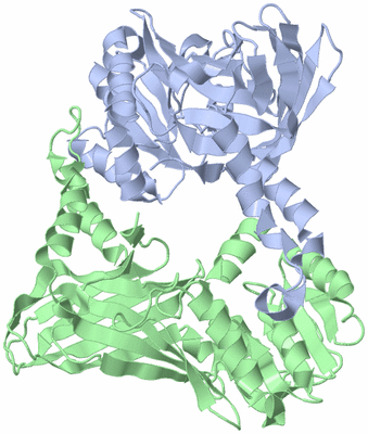 Image Asym./Biol. Unit