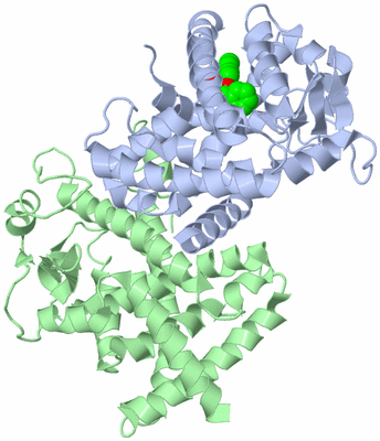 Image Biological Unit 2