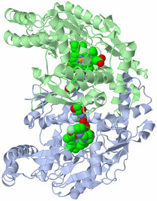 Image Asym./Biol. Unit