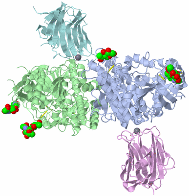 Image Asym./Biol. Unit