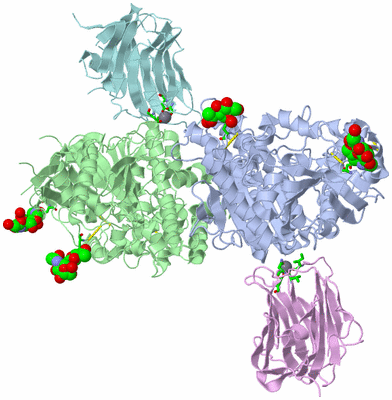 Image Asym./Biol. Unit - sites