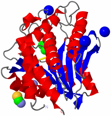 Image Asym./Biol. Unit