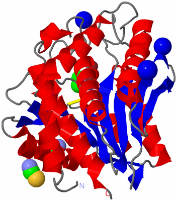 Image Asym./Biol. Unit