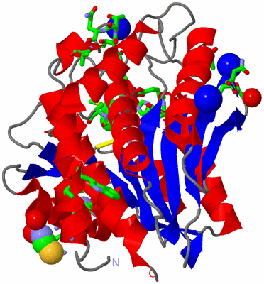 Image Asym./Biol. Unit - sites