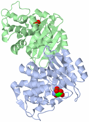 Image Asym./Biol. Unit