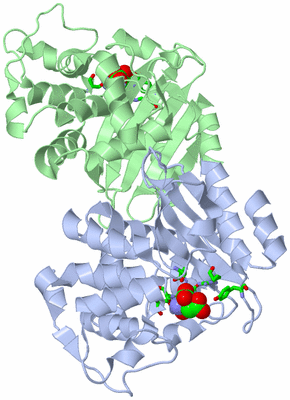 Image Asym./Biol. Unit - sites