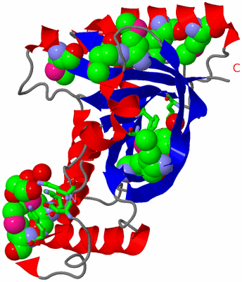 Image Asym./Biol. Unit - sites