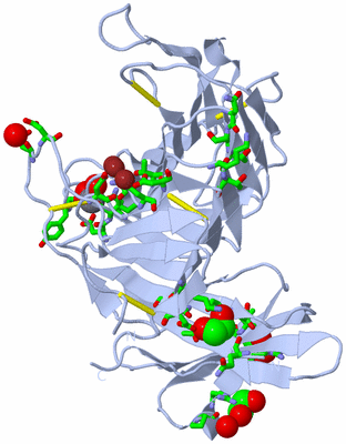 Image Biol. Unit 1 - sites