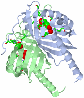 Image Asym./Biol. Unit - sites