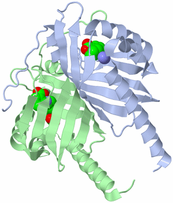 Image Asym./Biol. Unit