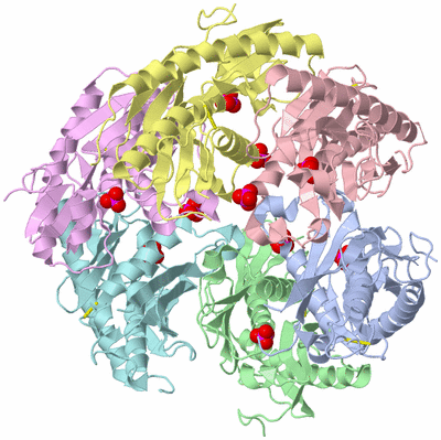 Image Asym./Biol. Unit