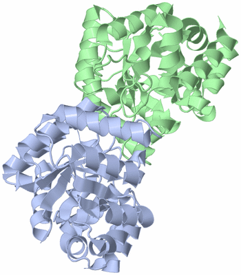 Image Asym./Biol. Unit