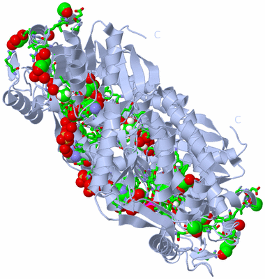 Image Biol. Unit 1 - sites