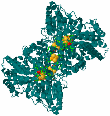 Image Biol. Unit 1 - sites