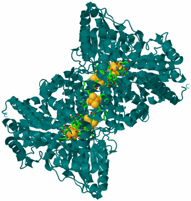 Image Biol. Unit 1 - sites