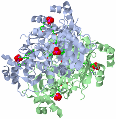 Image Biol. Unit 1 - sites