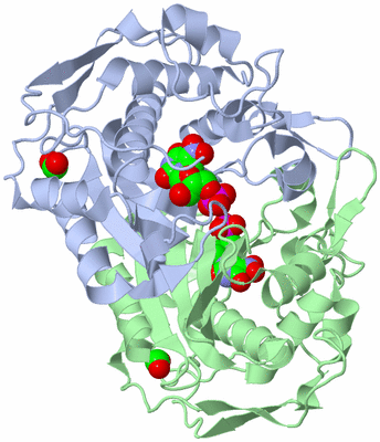 Image Asym./Biol. Unit