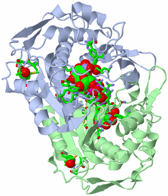 Image Asym./Biol. Unit - sites