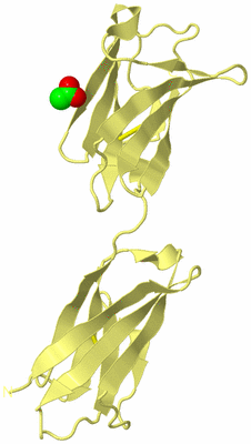 Image Biological Unit 4