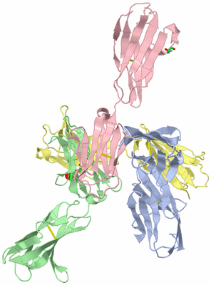 Image Asym. Unit - sites