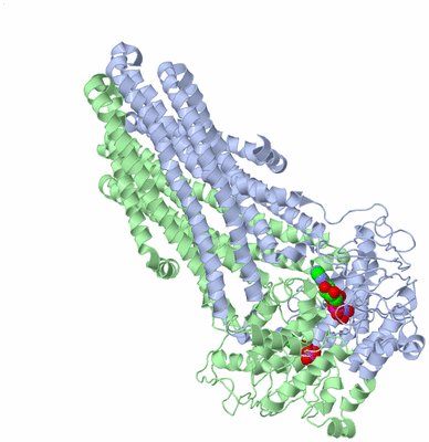 Image Biological Unit 1