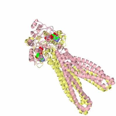 Image Biological Unit 2