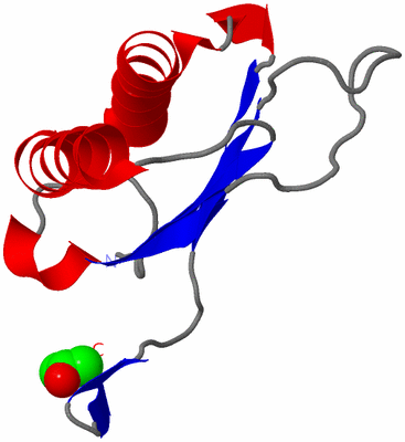 Image Asymmetric Unit