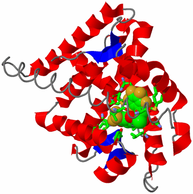 Image Asym./Biol. Unit - sites