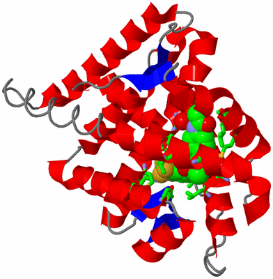 Image Asym./Biol. Unit - sites