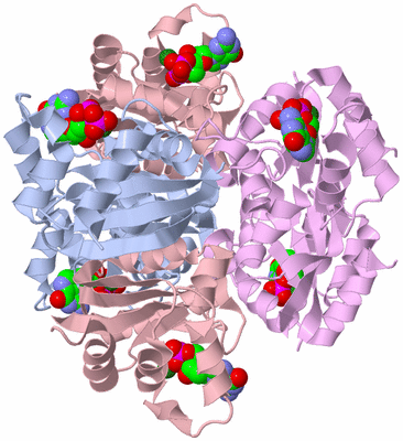 Image Biological Unit 1