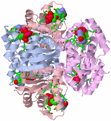 Image Biol. Unit 1 - sites